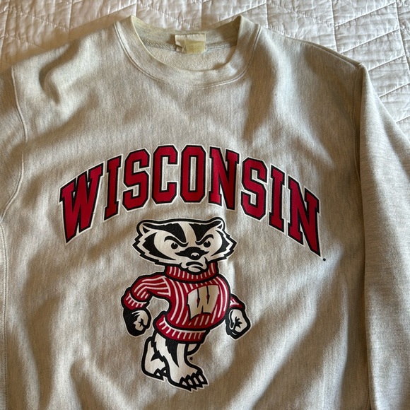Champion University of Wisconsin sweatshirt. Medium - Picture 1 of 3